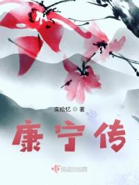 康宁传