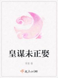 皇谋未正娶