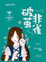 破茧非雀