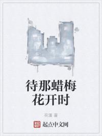待那蜡梅花开时