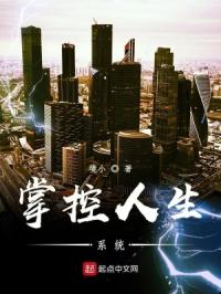 掌控人生系统