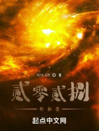 贰零贰捌